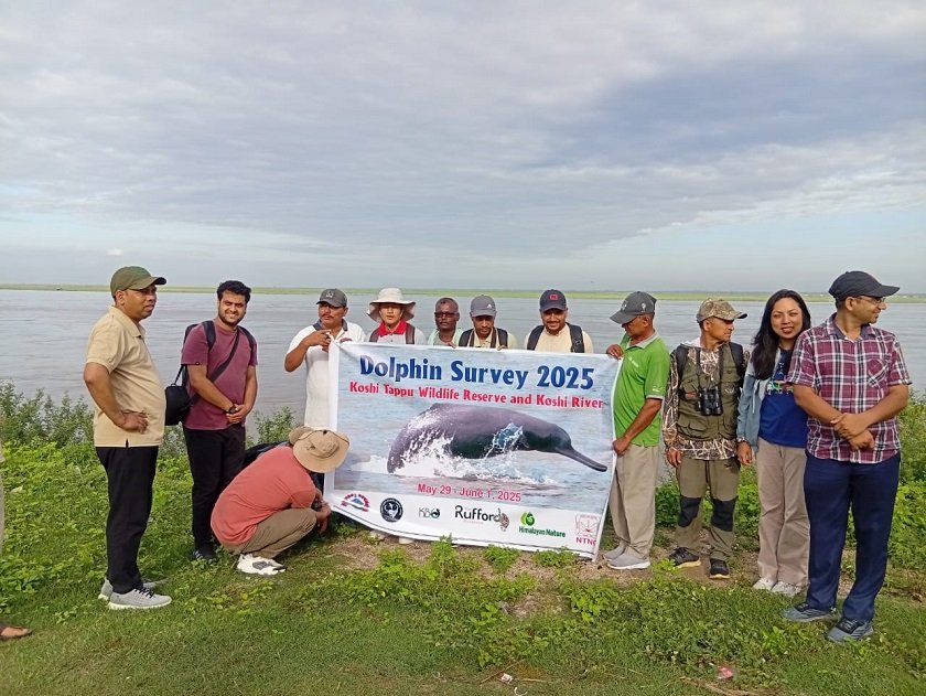 सप्तकोशीमा डल्फिन गणना सुरु