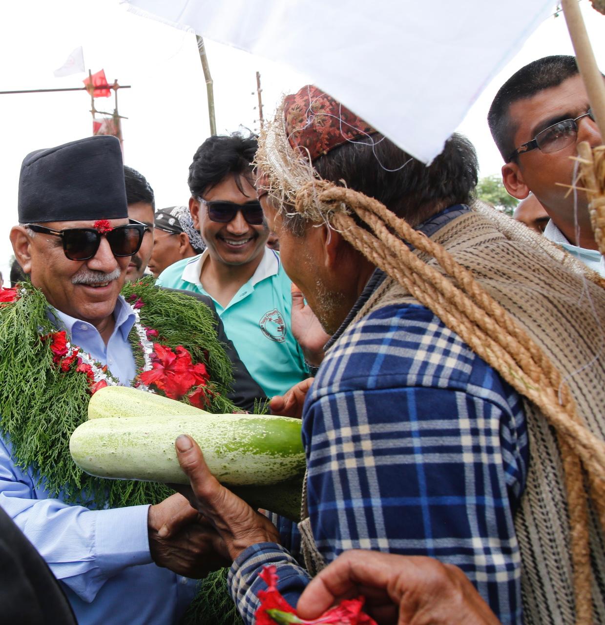दैलेखमा प्रचण्डलाई किसानले दिए काँक्रो उपहार