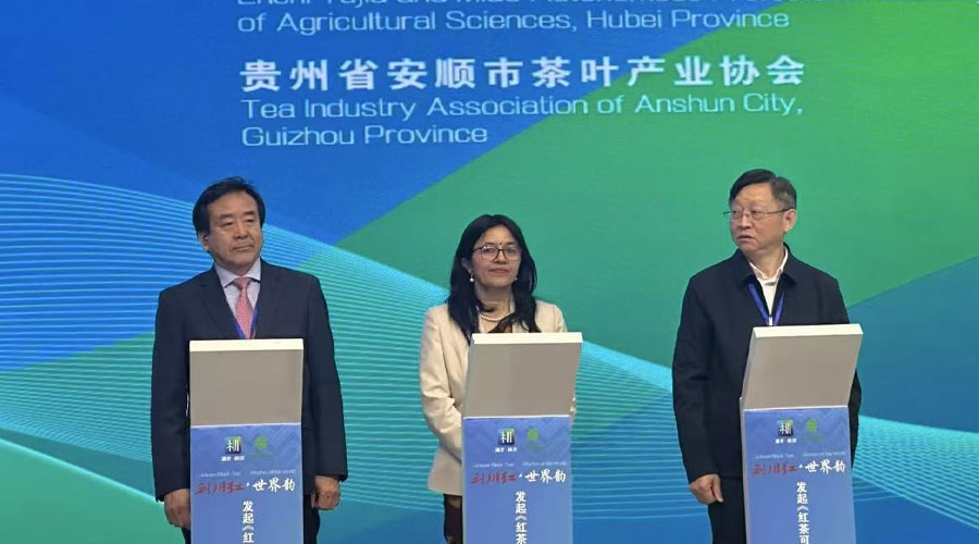 चीनमा नेपाली चियाको ब्रान्डिङ