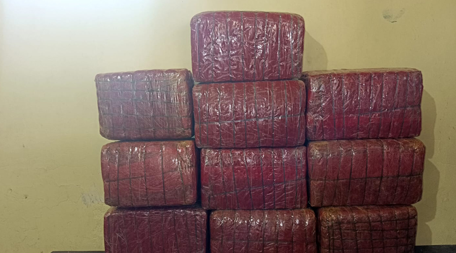 १७६ किलो गाँजा बरामद