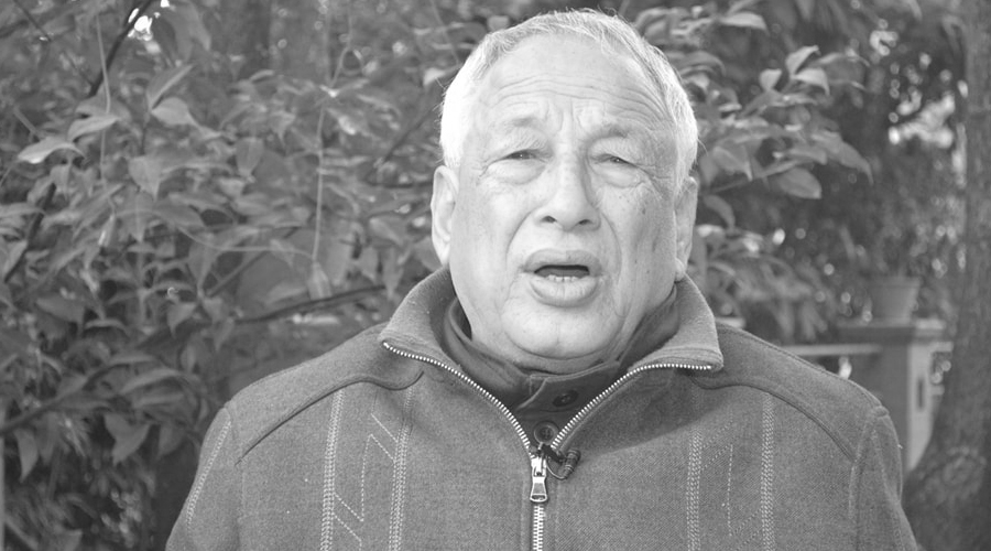 काठमाडौं महानगरले सभागृहमा पीएल सिंहको शालिक बनाउने