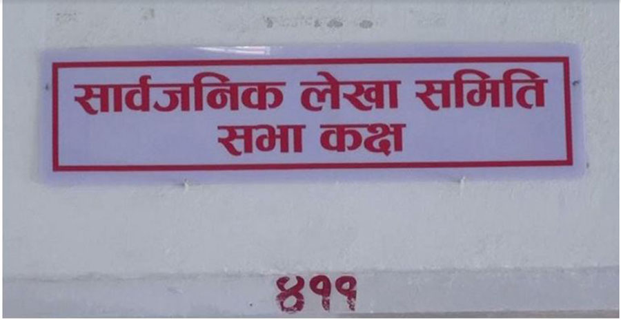 सार्वजनिक लेखा समितिमा १७ वटा उजुरी