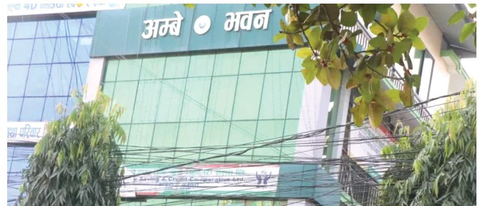 अम्बे कोशी सहकारी ‘समस्याग्रस्त’ घोषित, ६१ करोड हिनामिना