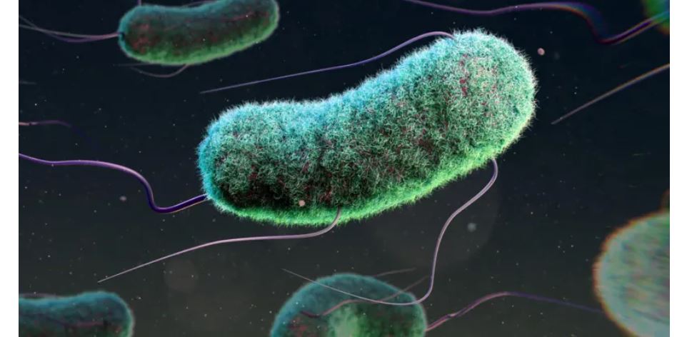 सन् २०२२ मा एन्टीबायोटिक्सले पनि काम नगर्दा विश्वभर ३० लाख बालबालिकाको मृत्यु