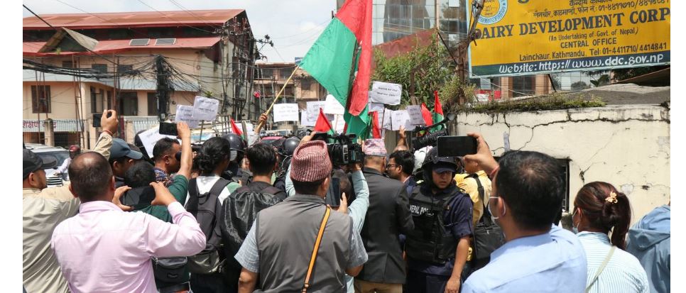 डीडीसी कार्यालयको गेटमा दुध उत्पादक किसानको धर्ना