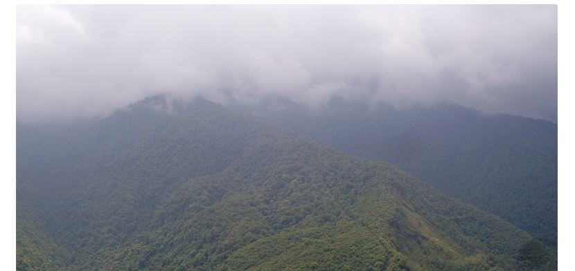 फुलचोकीको जंगलबाट १३ जना हराए, खोजी सुरु