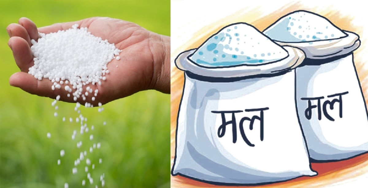 जीटुजी माध्यममा २५ हजार टन डीएपी मल खरिद गर्ने सरकारको निर्णय