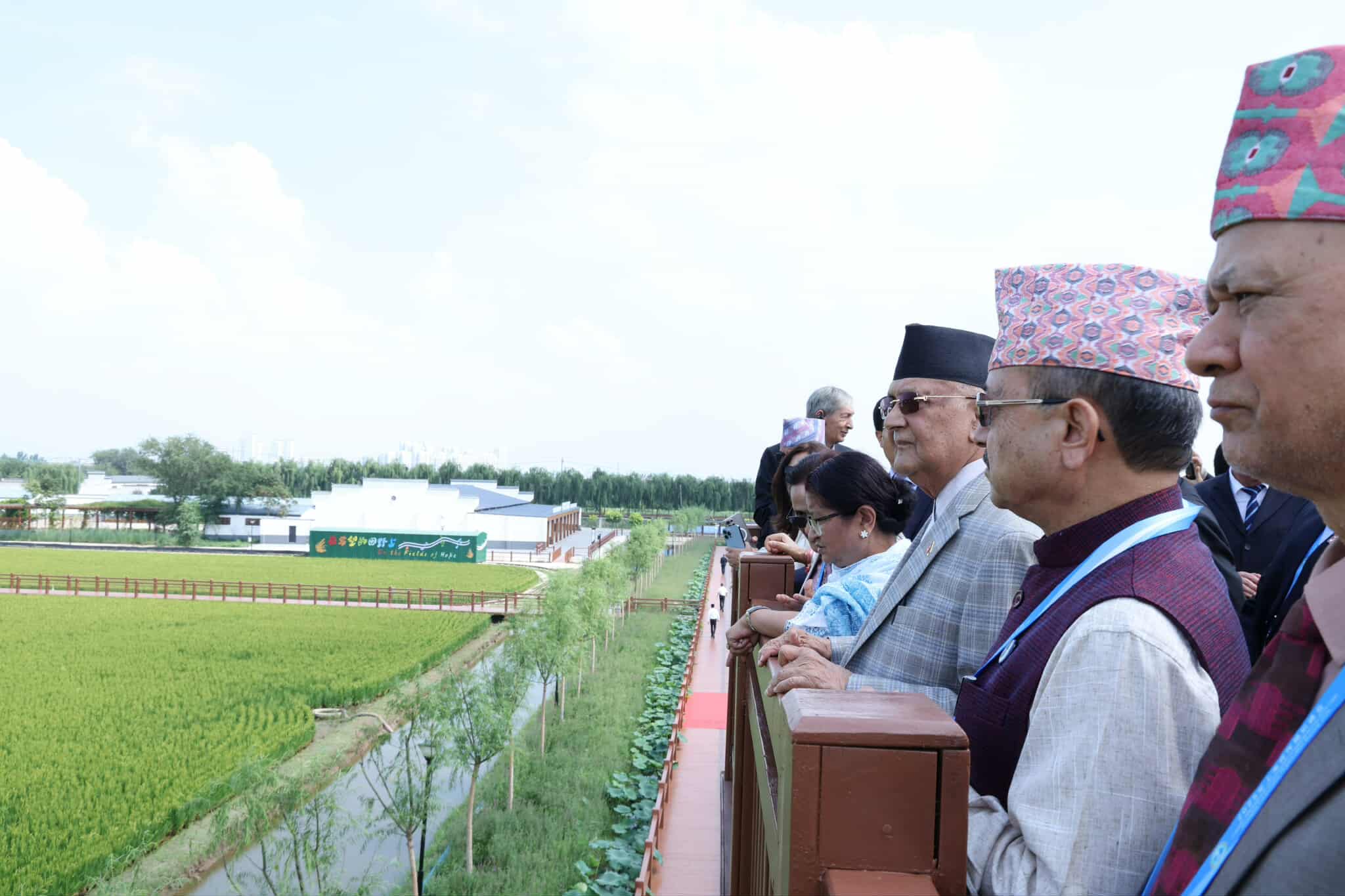 चीन भ्रमणमा रहेको प्रधानमन्त्री ओलीद्वारा धान उत्पादन विशेष क्षेत्रको अवलोकन