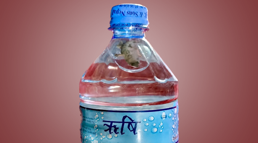 सिल प्याक पानीको बोतलभित्रै भेटियो छेपारो