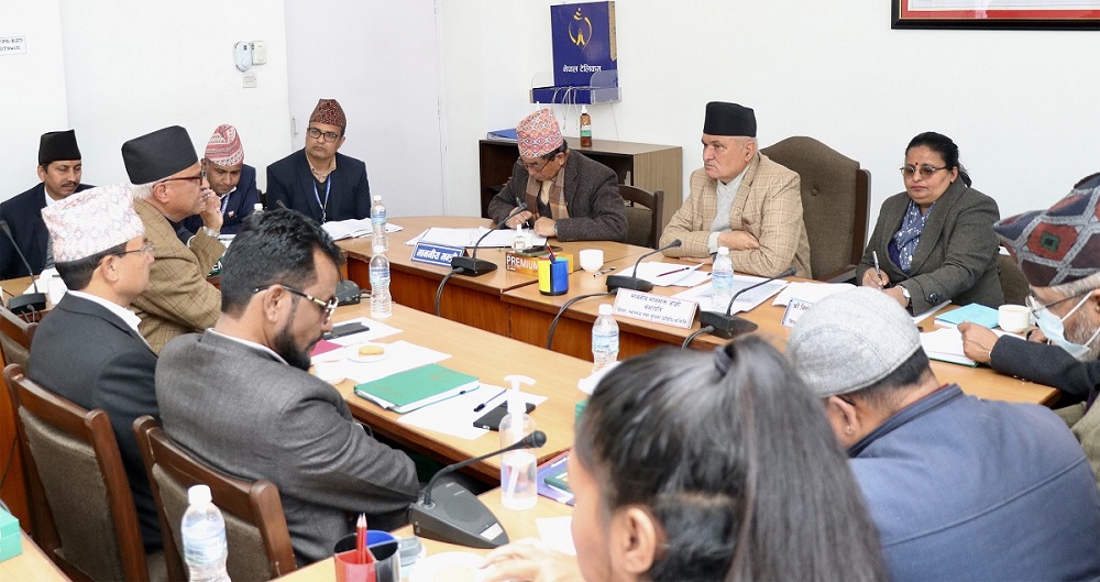 तीनकुने घटनामा संलग्नलाई कानुनी दायरामा ल्याउन संसदीय समितिको निर्देशन