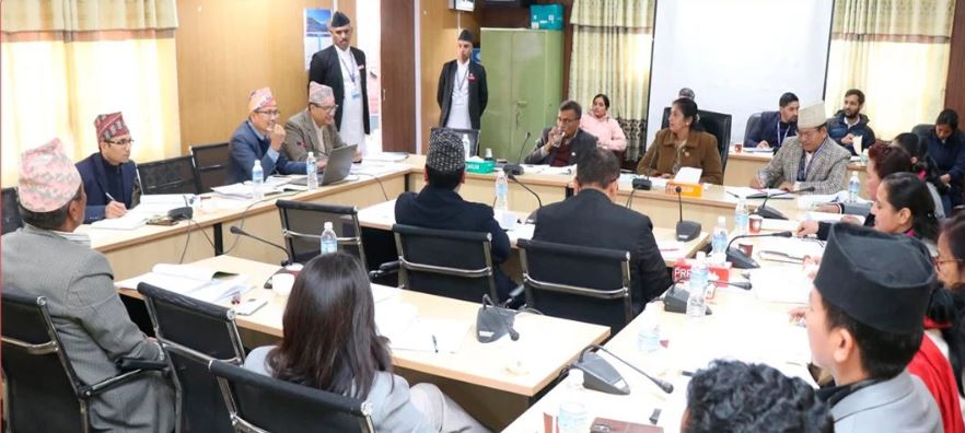 आज तीन संसदीय समितिको बैठक बस्दै