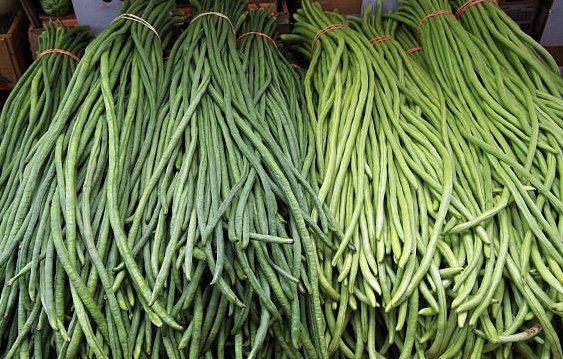 तने बोडीमा भेटियो ९५ प्रतिशत  विषादी