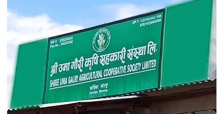 अध्यक्ष रौनियार पुर्पक्षका लागि जेल चलान